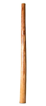 Natural Finish Didgeridoo (TW1818)